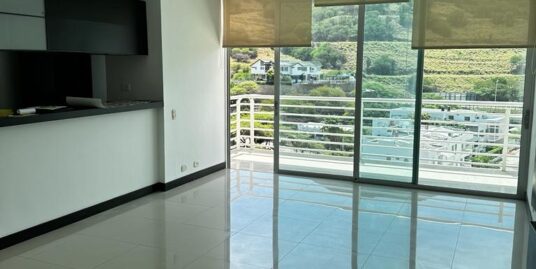 Apartamento en arriendo Edificio Platino